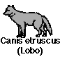 lobo.GIF (735 bytes)